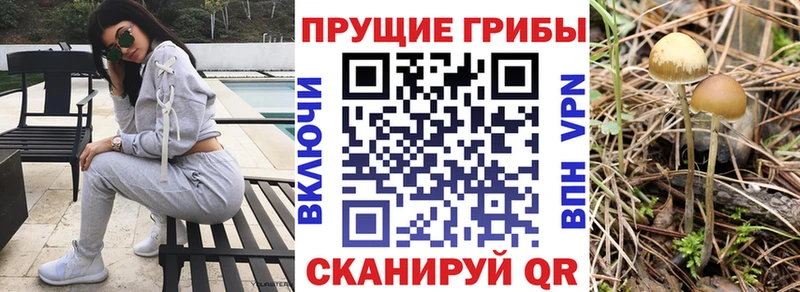 Псилоцибиновые грибы прущие грибы купить сайты Саяногорск