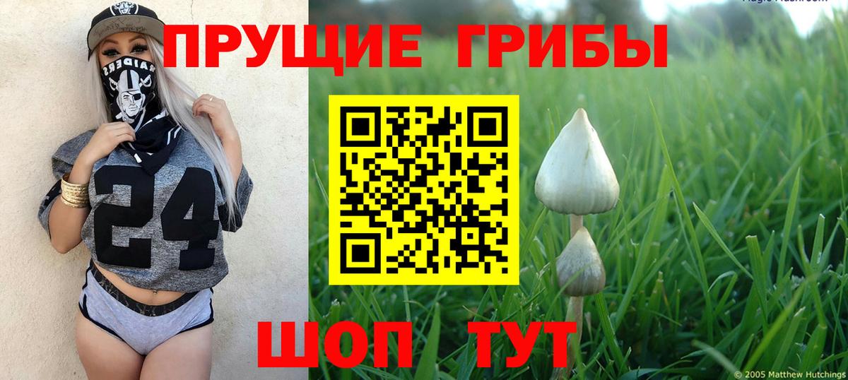 Саяногорск  где можно купить наркотик  Вход с VPN  Псилоцибиновые грибы GOLDEN TEACHER 