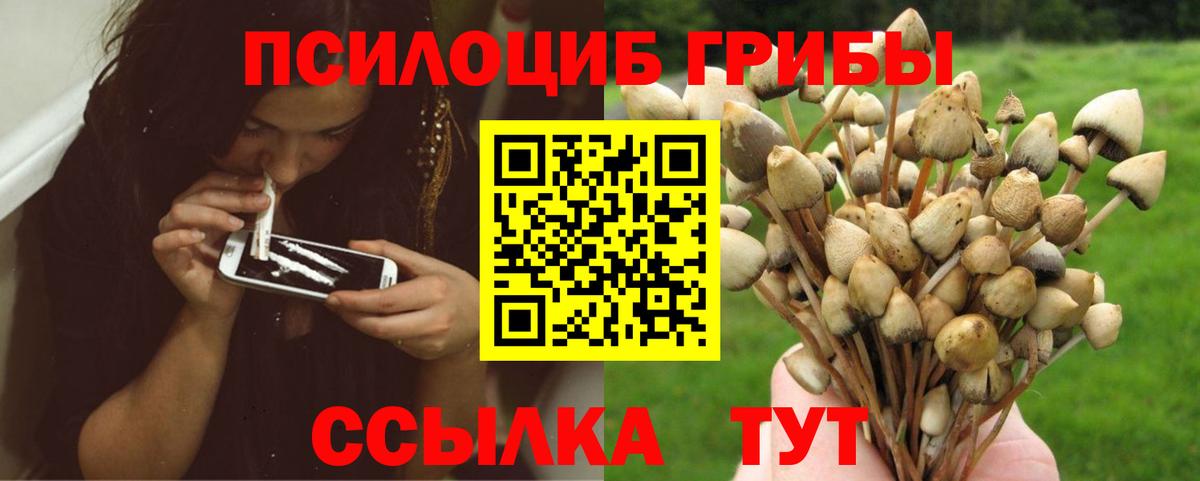 Псилоцибиновые грибы мухоморы Саяногорск